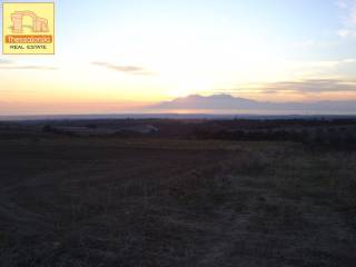 Πετράλωνα, Αγροτεμάχιο, 5.576 τ.μ.