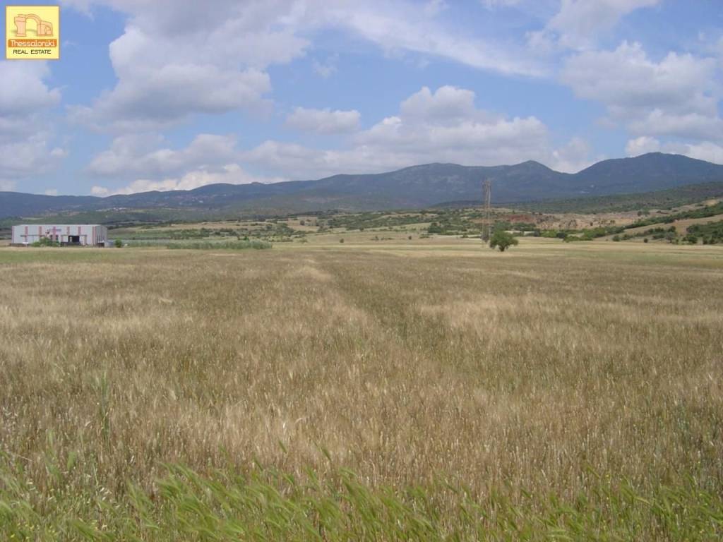 Βασιλικά, Αγροτεμάχιο, 8.469 τ.μ.