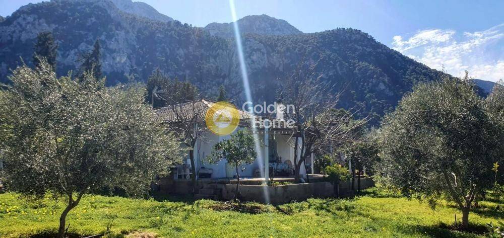 Εξωτερικός Χώρος