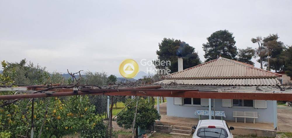 Εξωτερικός Χώρος