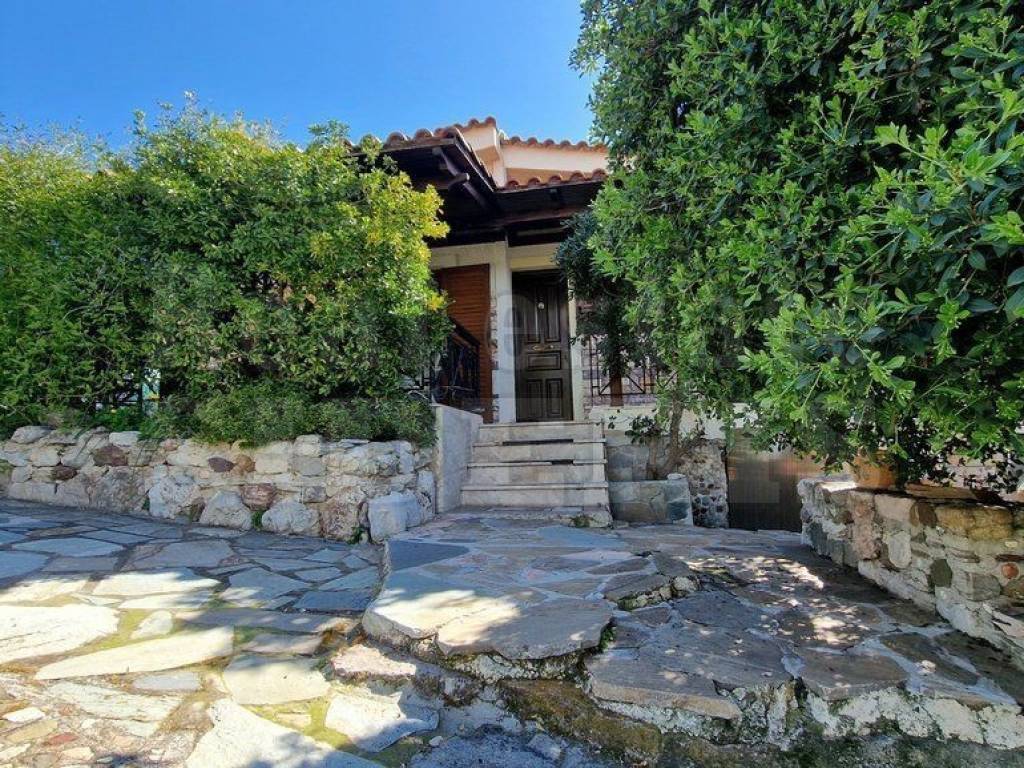 ΕΞΩΤΕΡΙΚΗ ΟΨΗ