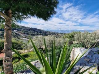 ΘΕΑ ΘΑΛΑΣΣΑ