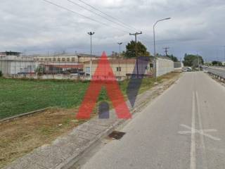 ΝΤΑΝΟΥΔΗΣ 2025-05-08 190058.jpg