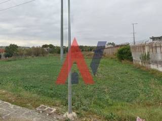 ΝΤΑΝΟΥΔΗΣ 2025-05-08 185916.jpg