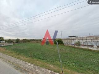 ΝΤΑΝΟΥΔΗΣ 2025-05-08 185737.jpg