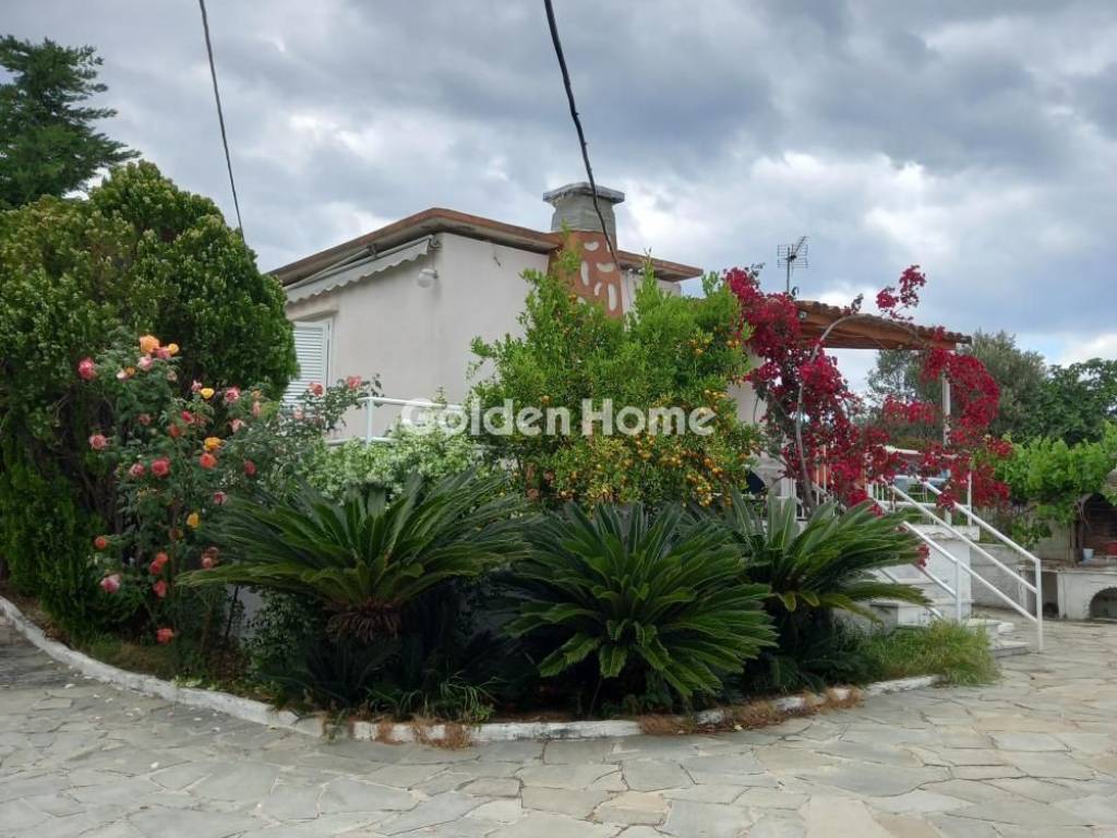 Εξωτερικός Χώρος