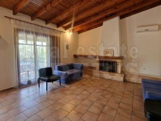 ΣΑΛΟΝΙ ΜΕ ΤΖΑΚΙ