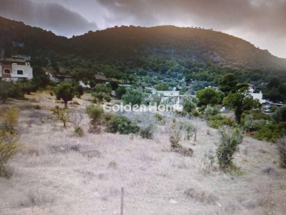 Εξωτερικός Χώρος