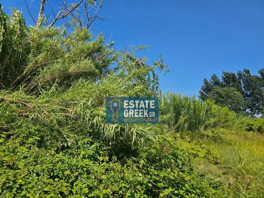 ★ Κτίζει 1967 τ.μ. ★ Γωνιακό οικόπεδο σε 2 δρόμους ★ Σε ήσυχο σημείο ★