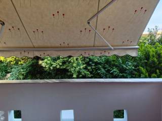 Piso Beranta 1toy orophoy