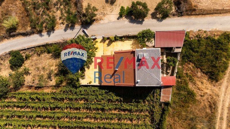 Ύπαρξη ανθρώπου