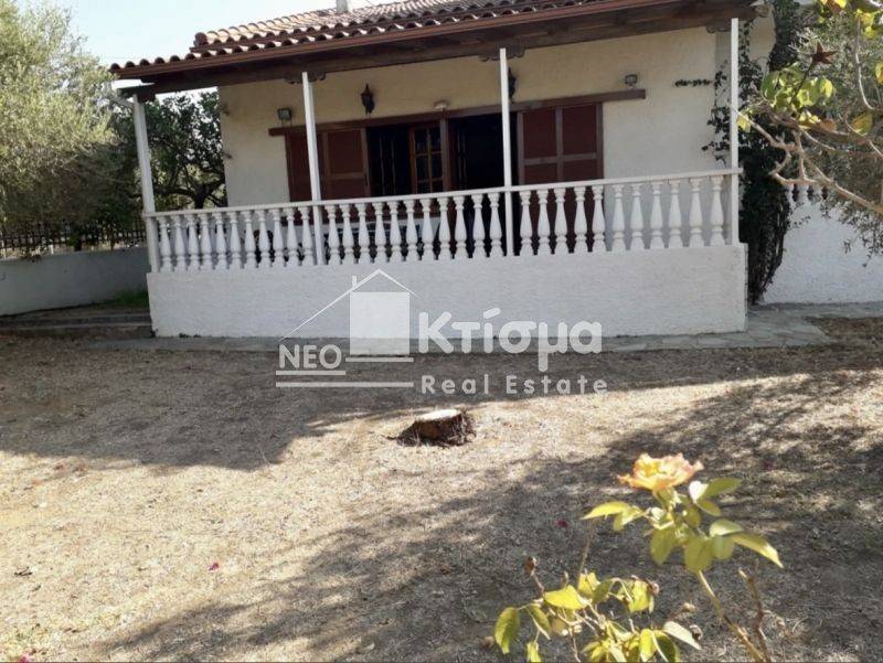 Εξωτερικός χώρος