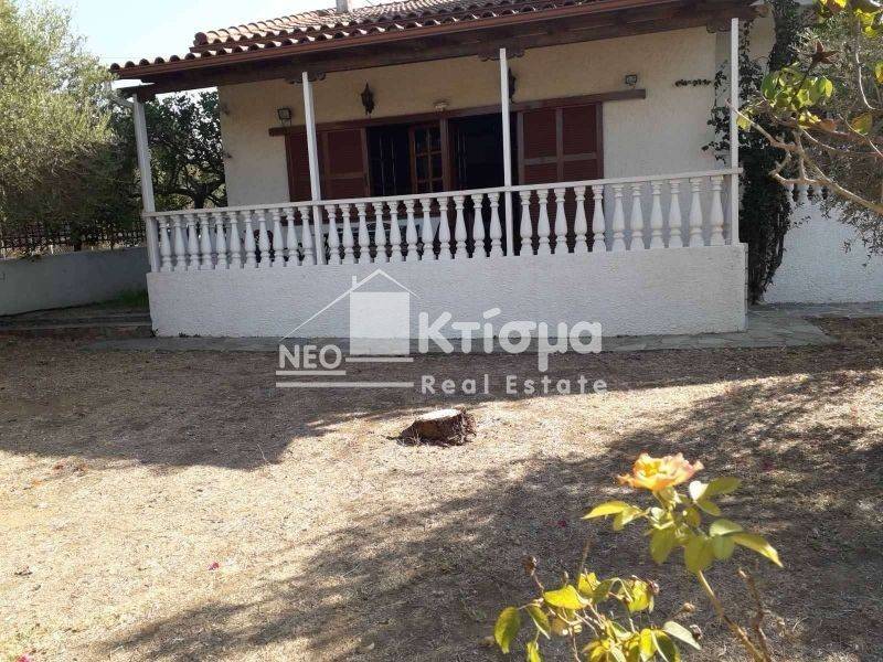 Εξωτερικός χώρος