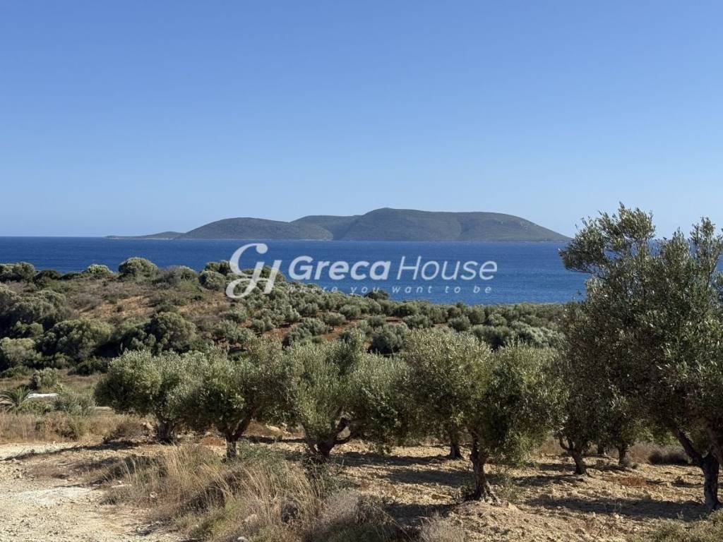 Παραθαλάσσιο Οικόπεδο προς πώληση στη Μεσσηνία.