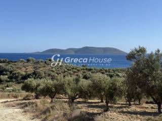 Παραθαλάσσιο Οικόπεδο προς πώληση στη Μεσσηνία.