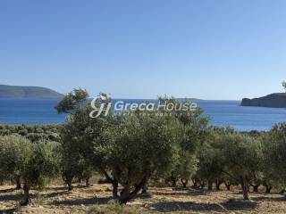 Παραθαλάσσιο Οικόπεδο προς πώληση στη Μεσσηνία.
