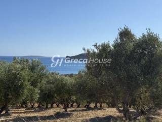 Παραθαλάσσιο Οικόπεδο προς πώληση στη Μεσσηνία.