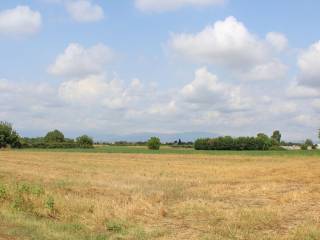 Plot - Grekodom 63974|1007693