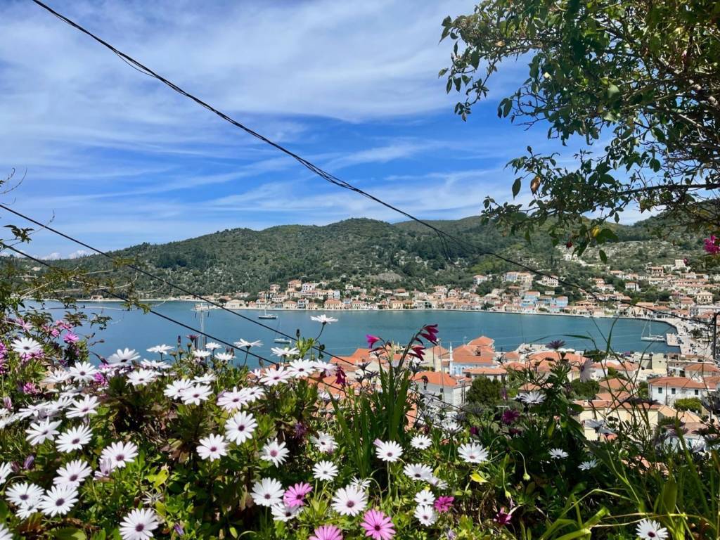 Views from the house