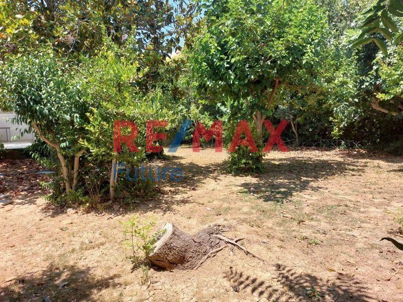 Ύπαρξη ανθρώπου