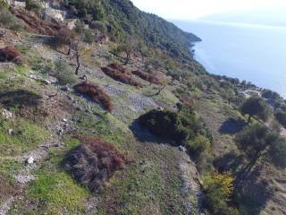 Terrain and landscape