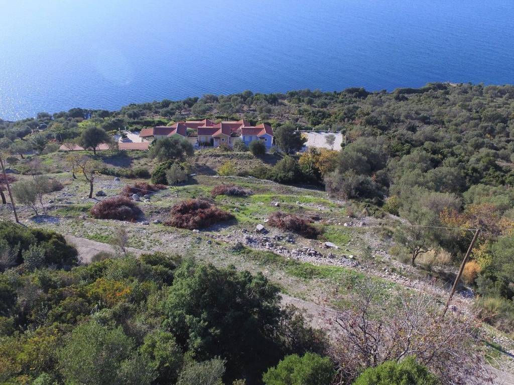 Road view of the land