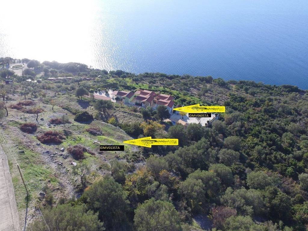 Adjacent properties for sale