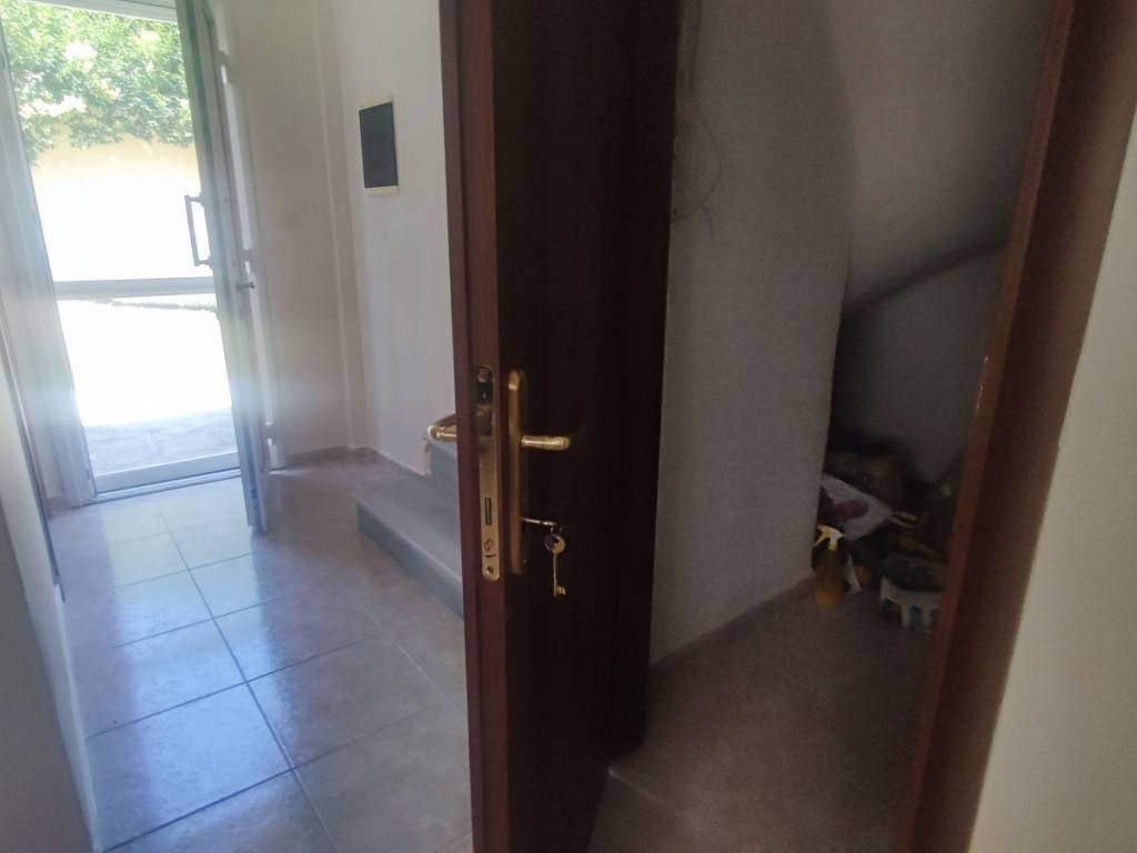 apothekeytikos choros