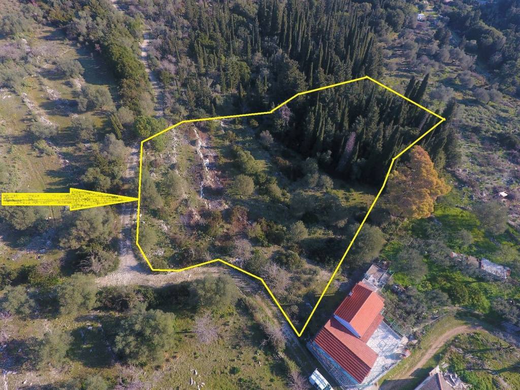 Borders of the property