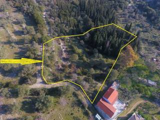 Borders of the property