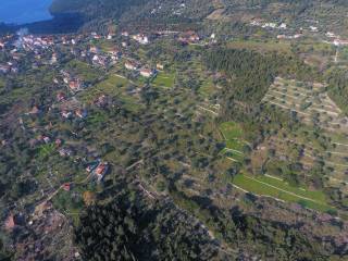 Aerial view of the larger area