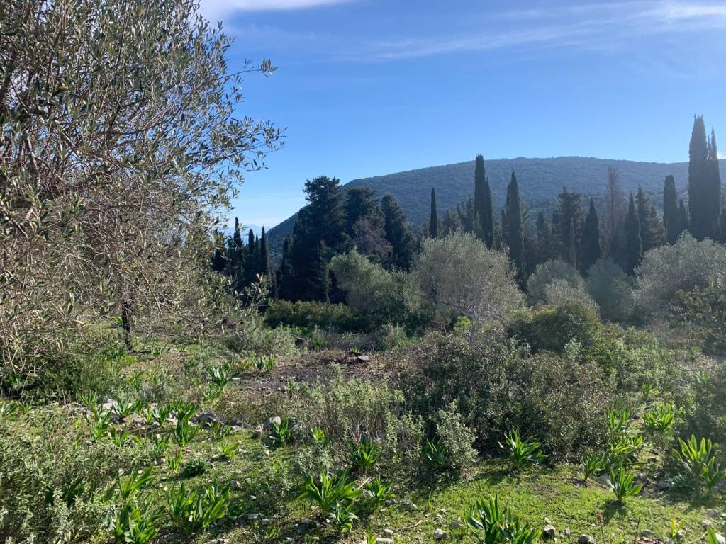 Terrain and landscape