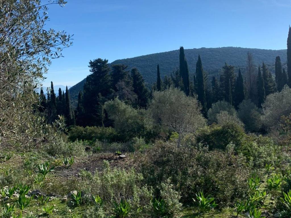 Terrain and landscape