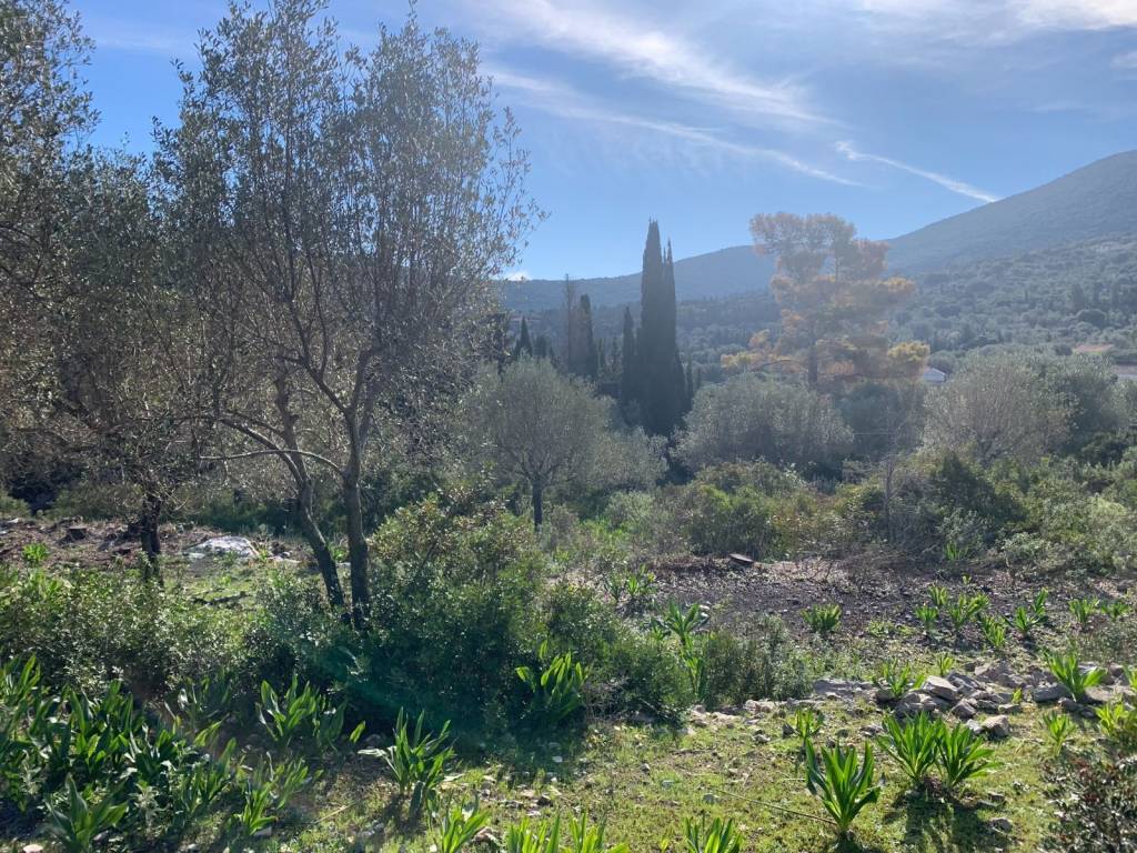 Terrain and landscape