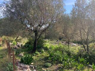 Terrain and landscape