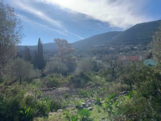 Terrain and landscape