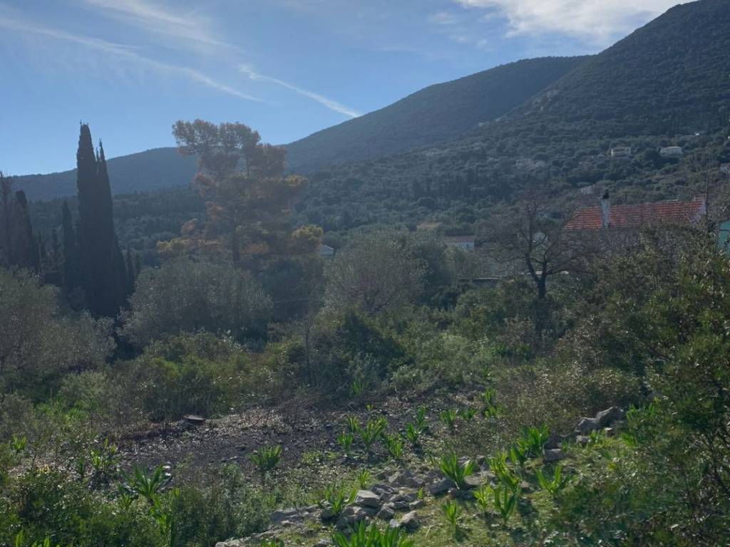 Terrain and landscape