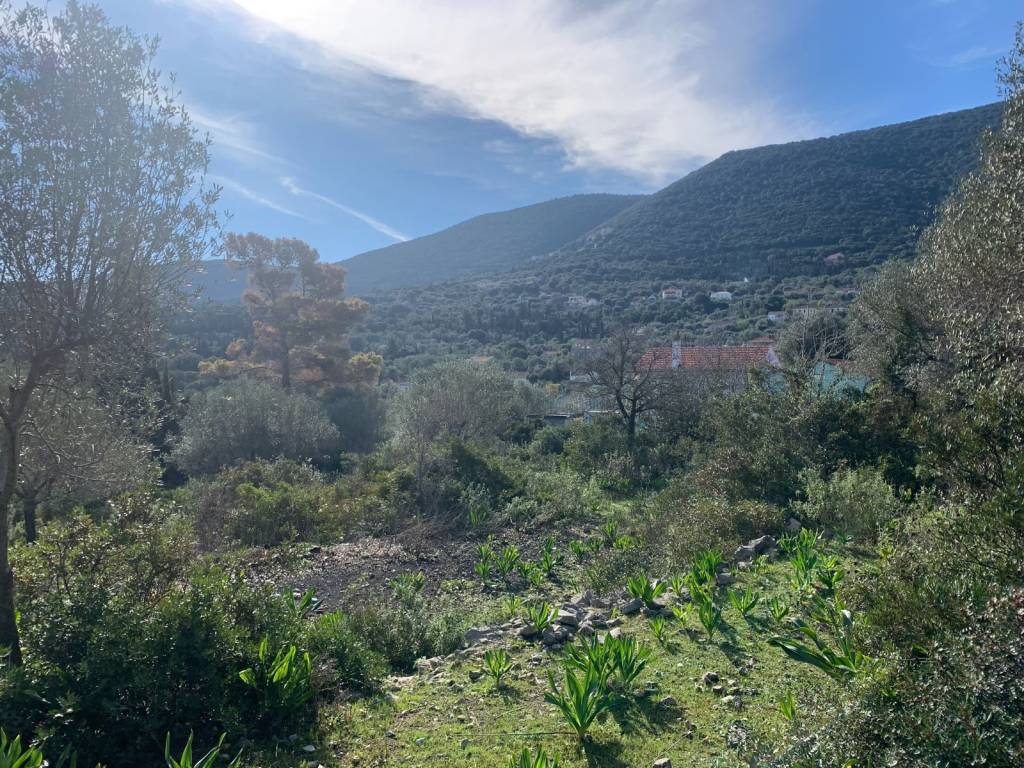 Terrain and landscape