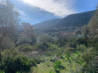 Terrain and landscape