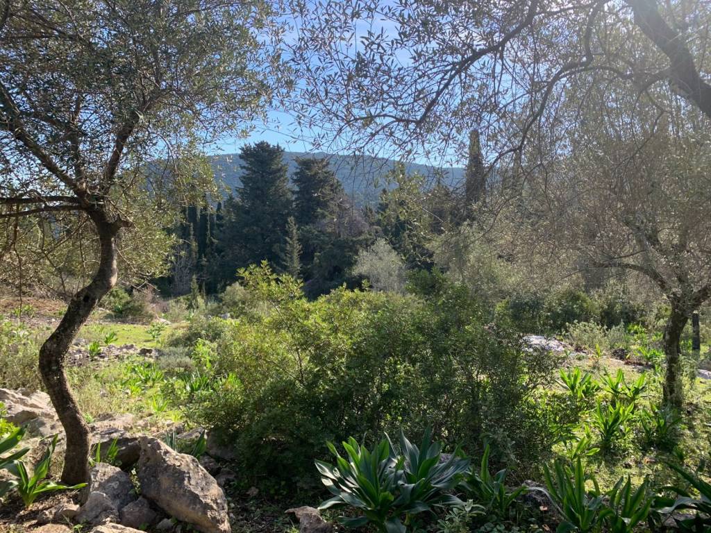 Terrain and landscape