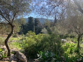 Terrain and landscape