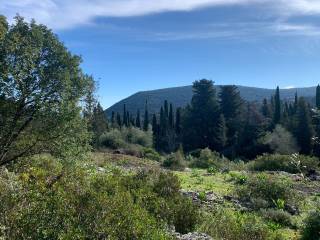 Terrain and landscape