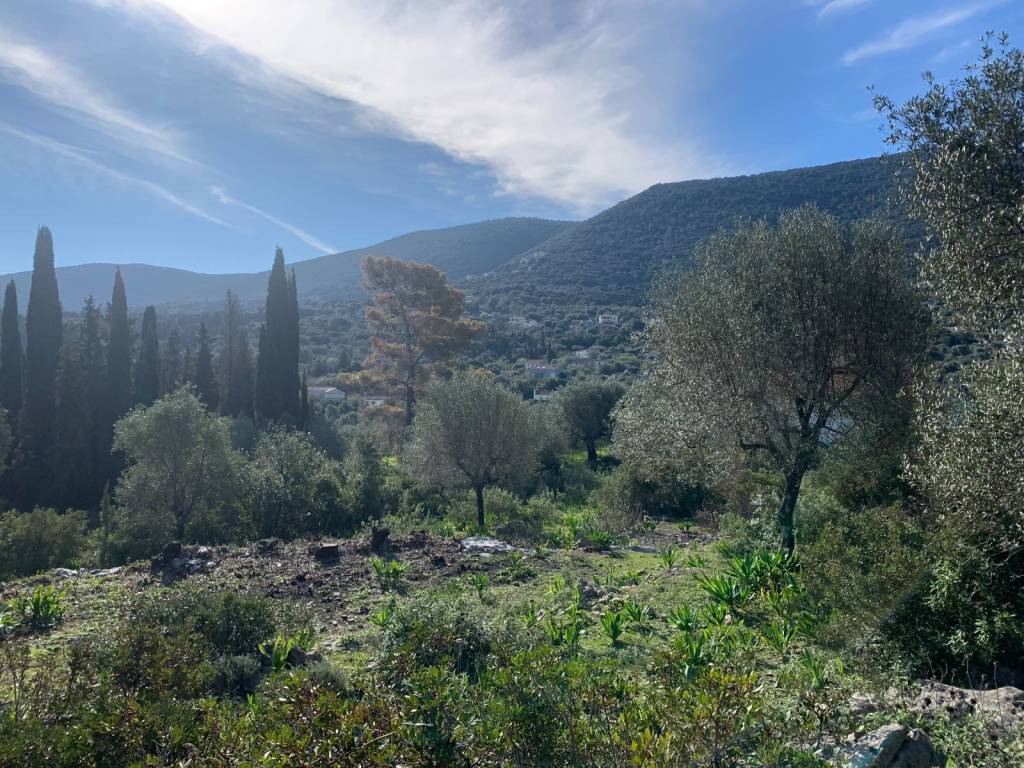 Terrain and landscape