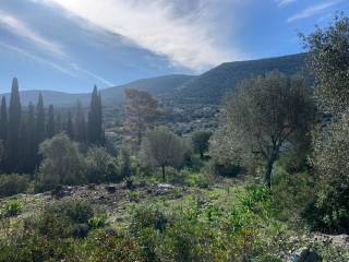 Terrain and landscape