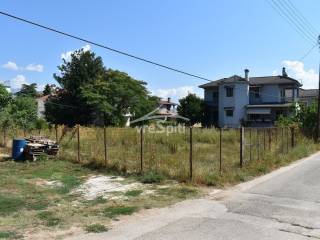 ΑΠΟΨΗ ΟΙΚΟΠΕΔΟΥ