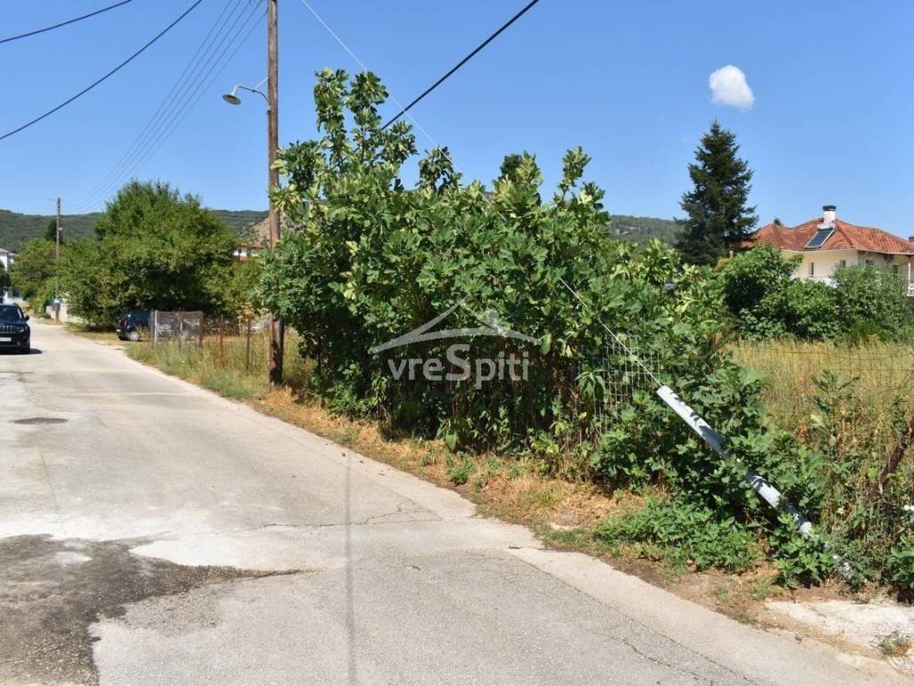 ΑΠΟΨΗ ΟΙΚΟΠΕΔΟΥ