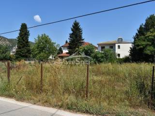 ΑΠΟΨΗ ΟΙΚΟΠΕΔΟΥ