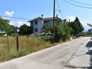 ΑΠΟΨΗ ΟΙΚΟΠΕΔΟΥ