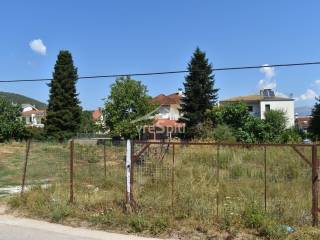 ΑΠΟΨΗ ΟΙΚΟΠΕΔΟΥ