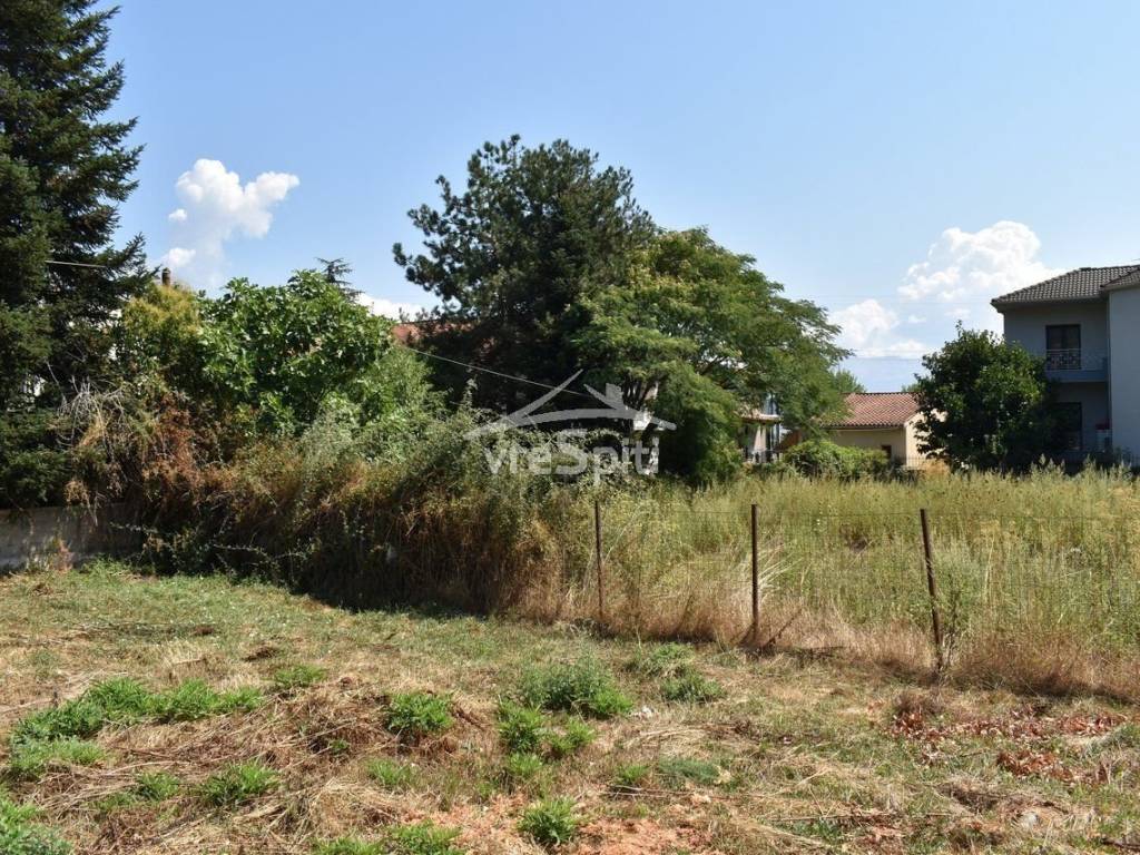 ΑΠΟΨΗ ΟΙΚΟΠΕΔΟΥ